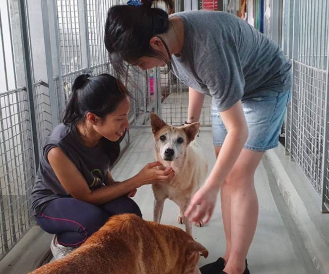 周末去哪玩？一起來探索新加坡本地人都不知道的新奇活動和景點吧