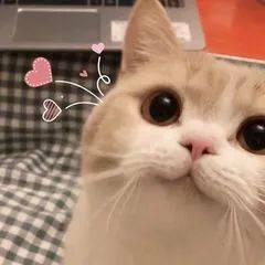 盘点 新加坡惊险刺激的剧本杀合集