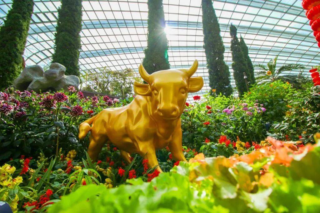 从唐人街到滨海湾花园，打卡7个地标7种牛年主题展览