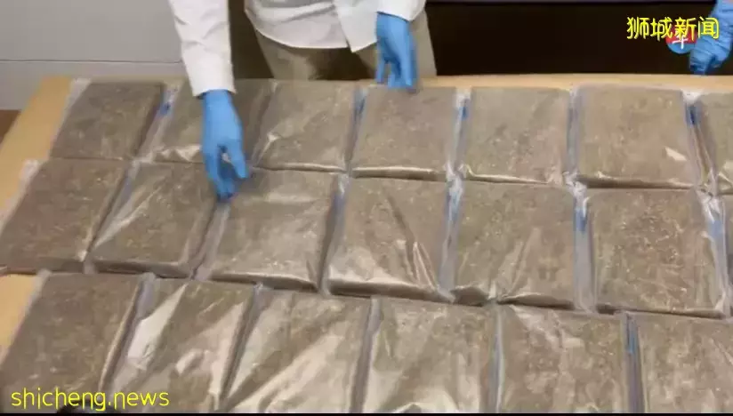 新加坡缴获市值120万毒品，逮捕17岁少女等102人