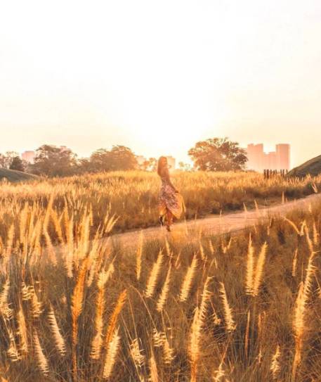 周末假裝出國遊!新加坡最具異國風情的小衆景點推薦