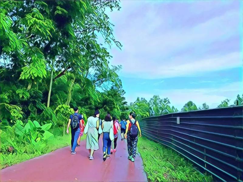 新加坡雙溪部落濕地（Sungei Buloh Wetland Reserve)