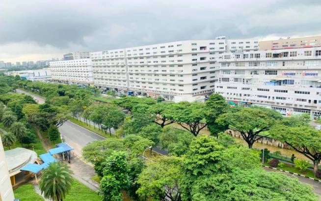 本地西部居民吐槽闻到粪便味！可爱狗狗遭遗弃！ 未遵守安全管理措施 背包旅舍被令停业30天