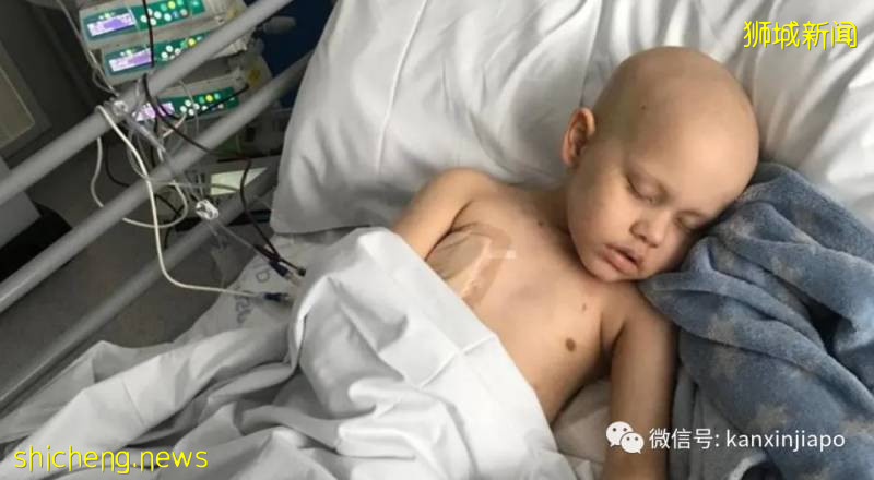 被醫生放棄治療的英國白血病男童,飛來新加坡治療成功!