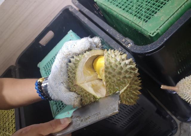 新加坡自由行(六)