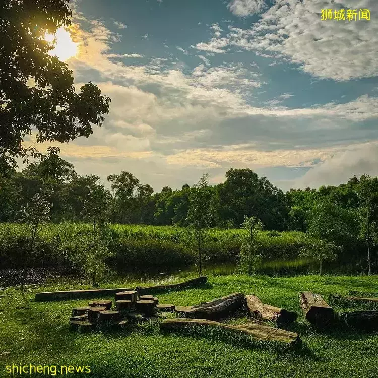 長周末出去走走!精選新加坡小衆大自然景區👣漫步騎車、呼吸新鮮空氣,有益身心