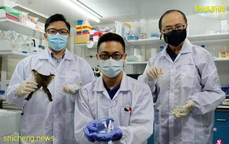 新加坡科学家发现牛蛙皮和鱼鳞能治骨病，原来扔的比吃的值钱