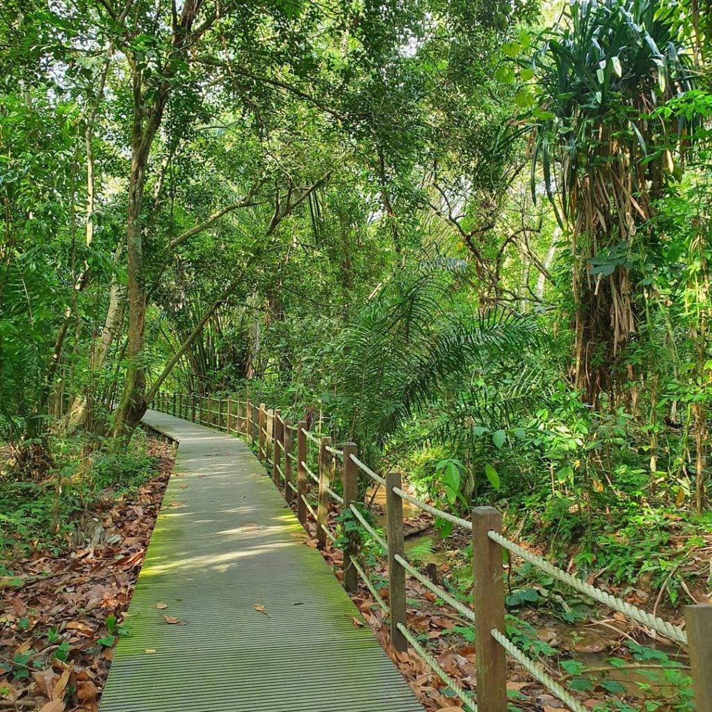徒步吸氧去🍃Windsor Nature Park濕地公園，隱秘寶藏仙境✨ 3段徒步路徑、淡水溪流、沼澤棲息地
