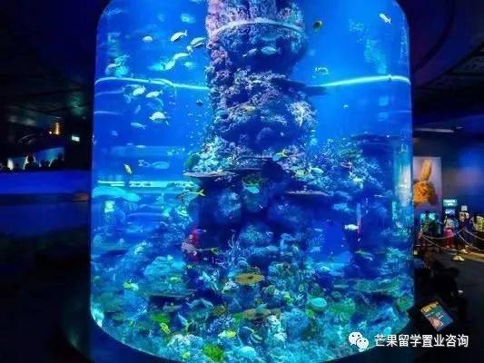 新加坡“親子娛樂”好去處盤點(1)