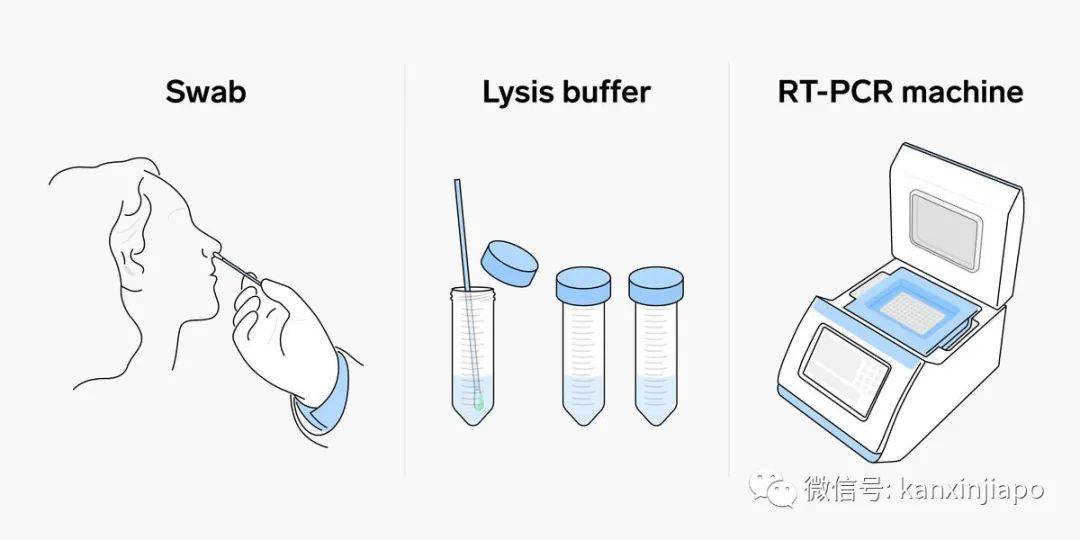 穿防护服飞南京,“真心”像极了两只大北极熊