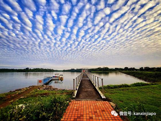 “地震雲”昨早刷爆朋友圈！很少看過這麽“怪異”的朝陽