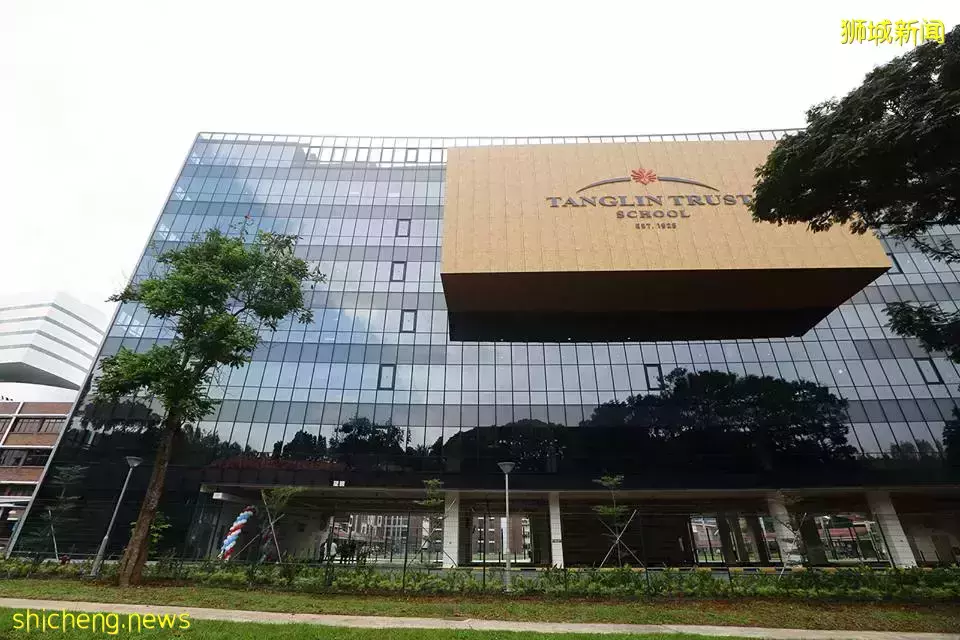 史上最強攻略!在新加坡如何選學校?國際學校vs政府學校,哪個好