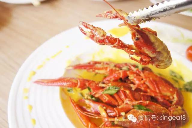 再下一城,這次我們吃日本人最愛的龍蝦粥