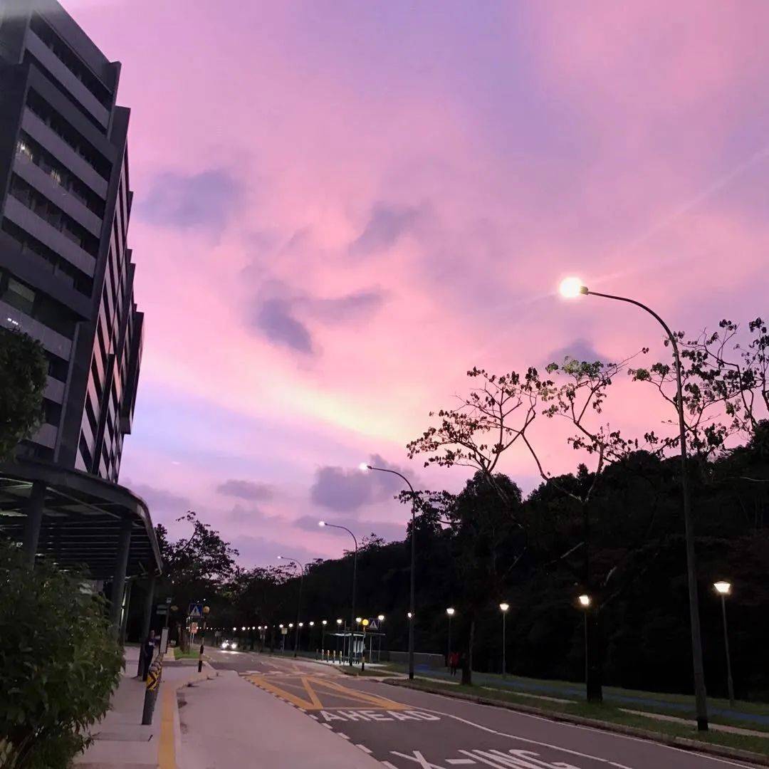 在新加坡國際學校留學，每年需要花多少錢