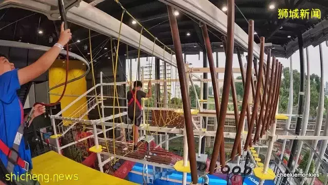 上天下地太刺激!新加坡北部新开乐园,肾上腺素疯狂飙升