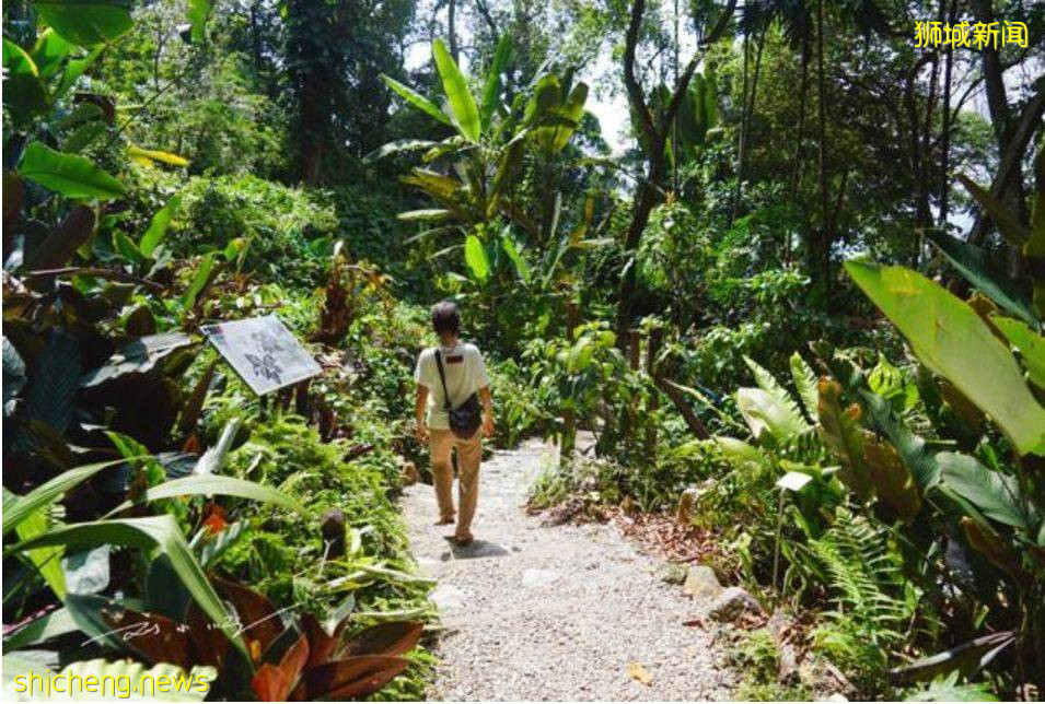 新加坡後花園10大旅遊島
