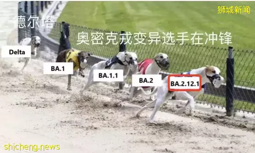 傳播最快的新冠變種出現了!新加坡還會收緊嗎?有專家預測疫情8月結束