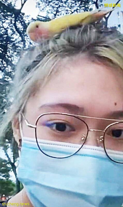 鹦鹉飞错巢 困女郎发堆