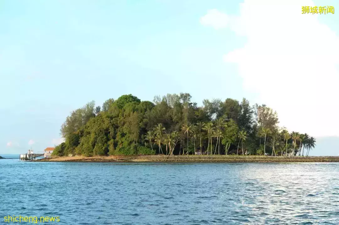 新加坡南部小島被瘟疫“襲擊”,變成了巨大密室