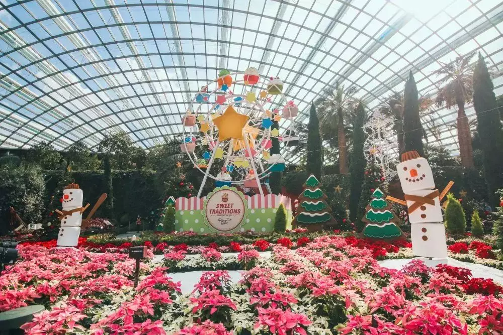 8米摩天輪、巨型糖果手杖、蘋果聖誕馬車...新加坡濱海灣花園變身聖誕村