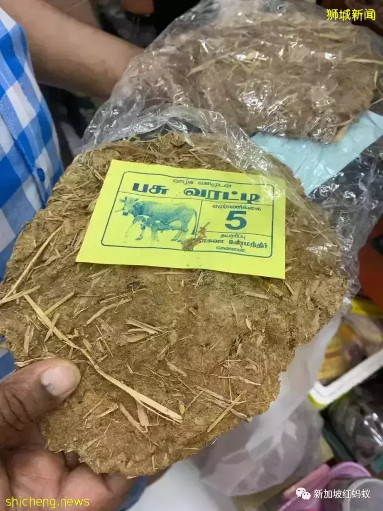 新加坡小印度獵奇:形形色色的人、食物和意外的風景