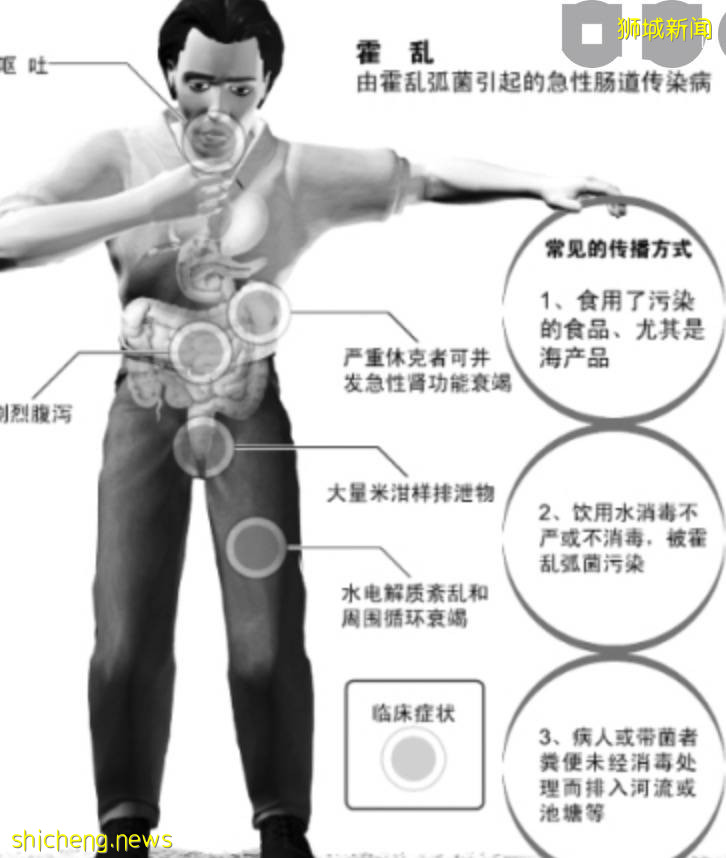 新加坡部長聯名發文：將新冠當流感處理！5個新常態：病人在家康複、重新開放旅遊