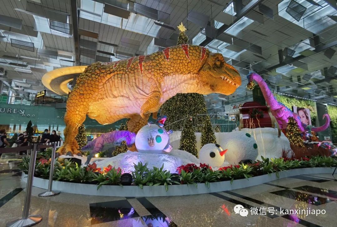 今增4，新加坡连续9天无本地病例，史上首次 | 樟宜机场冰雪仙境，抢鲜体验