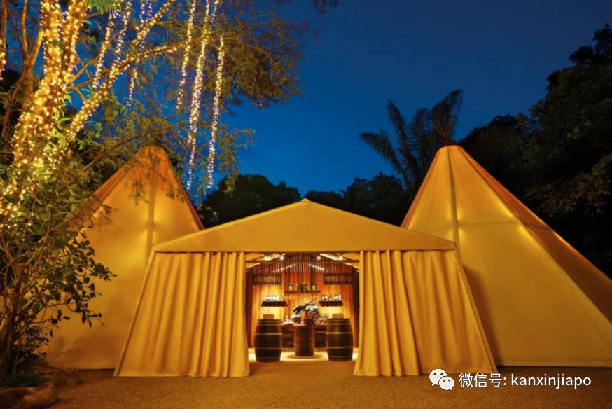 新加坡夜間野生動物園，現在可以搭帳篷吃晚餐了