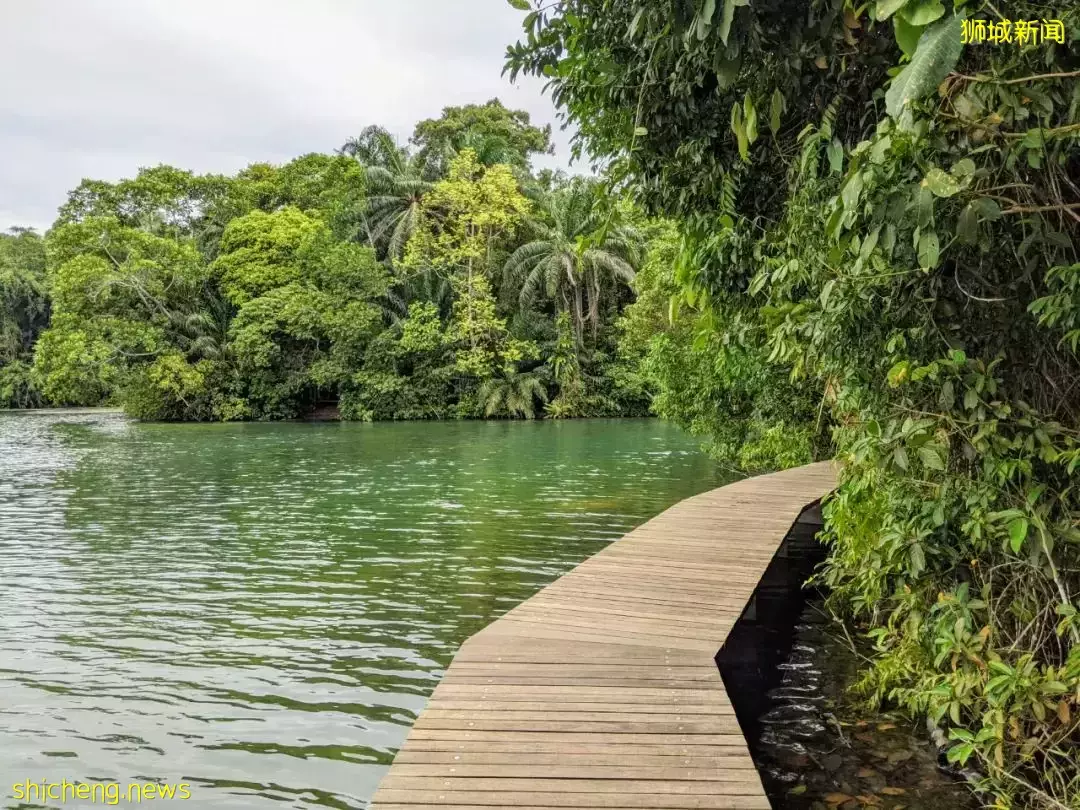 老爸老媽的“夢中情房”來了，1公裏內兩所新加坡排名前10的小學