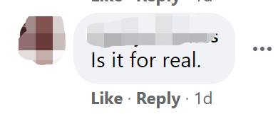 突發！這個海灘驚現一群巨型椰子蟹，還搶燒烤吃！新加坡也被鳄魚、蜥蜴、蟒蛇、水獺、猴子、野豬、野雞嚇到過