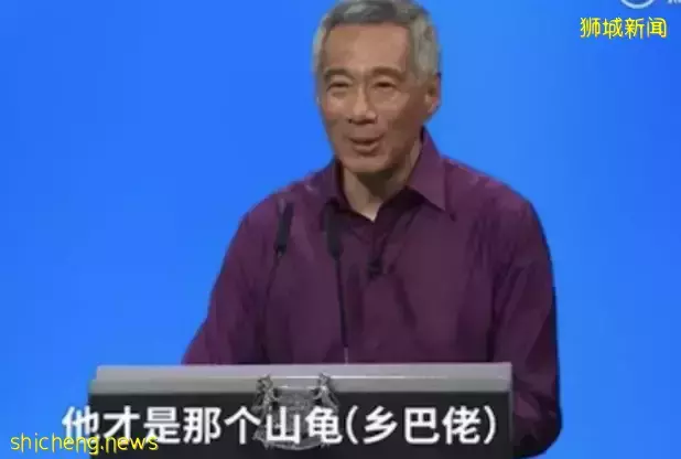 全網熱議！吳尊送娃去中國上學，張柏芝離開坡回上海定居！新加坡不香了