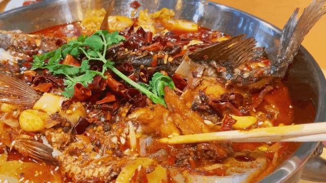 $6666大錦鯉又來了!去年火爆麻辣香鍋旗艦店又開新店了