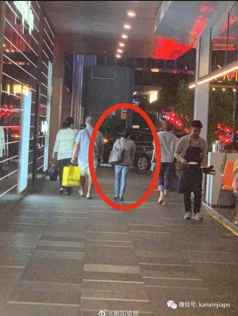 真实！新加坡常驻居民的四季是这样......