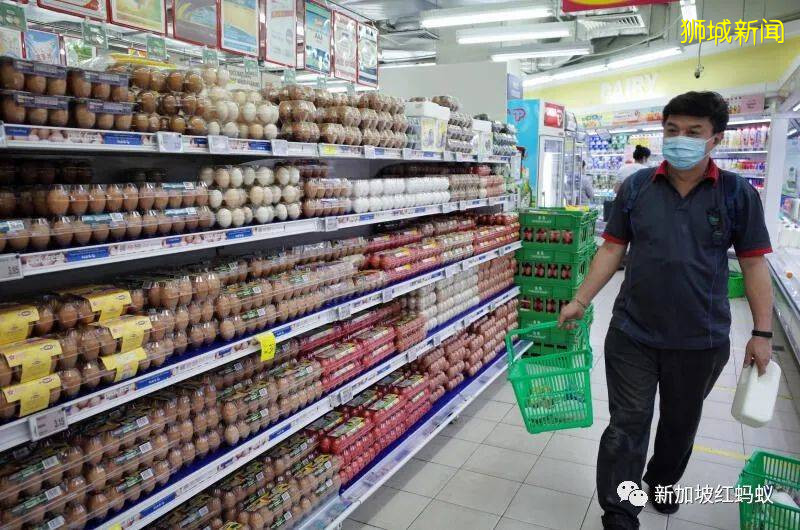 中國人對進口食品情有獨鍾,新加坡人卻偏愛國産和馬國雞蛋! 真有那麽好吃