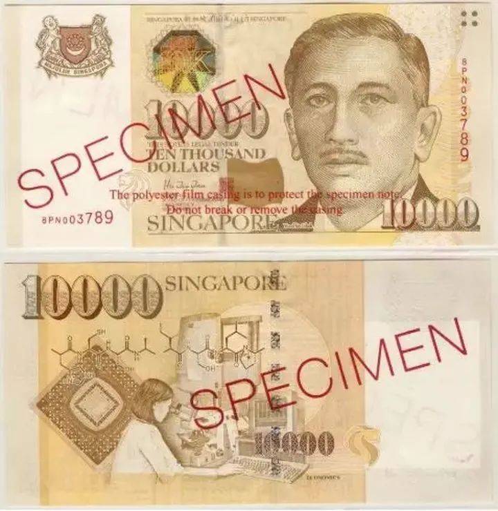 叮咚!新加坡奇奇怪怪的冷知识增加了