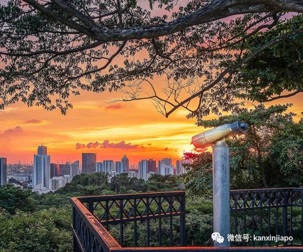 新加坡哪里看日落？8个绝美夕阳的打卡地点