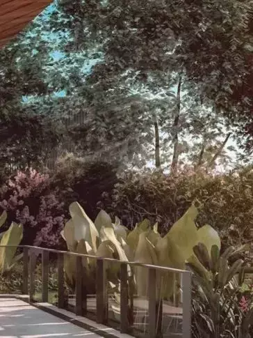 新加坡房市话你知 降温等于降价吗