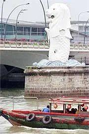 新加坡,絕密風水局