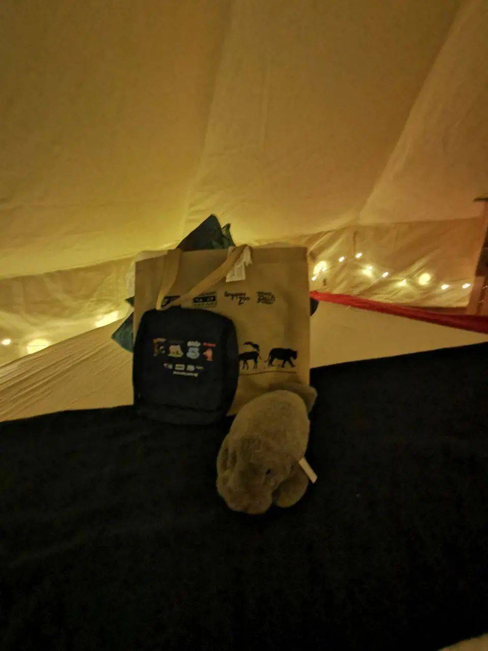 新加坡河川動物園有豪華帳篷過夜啦!本周最新活動彙總