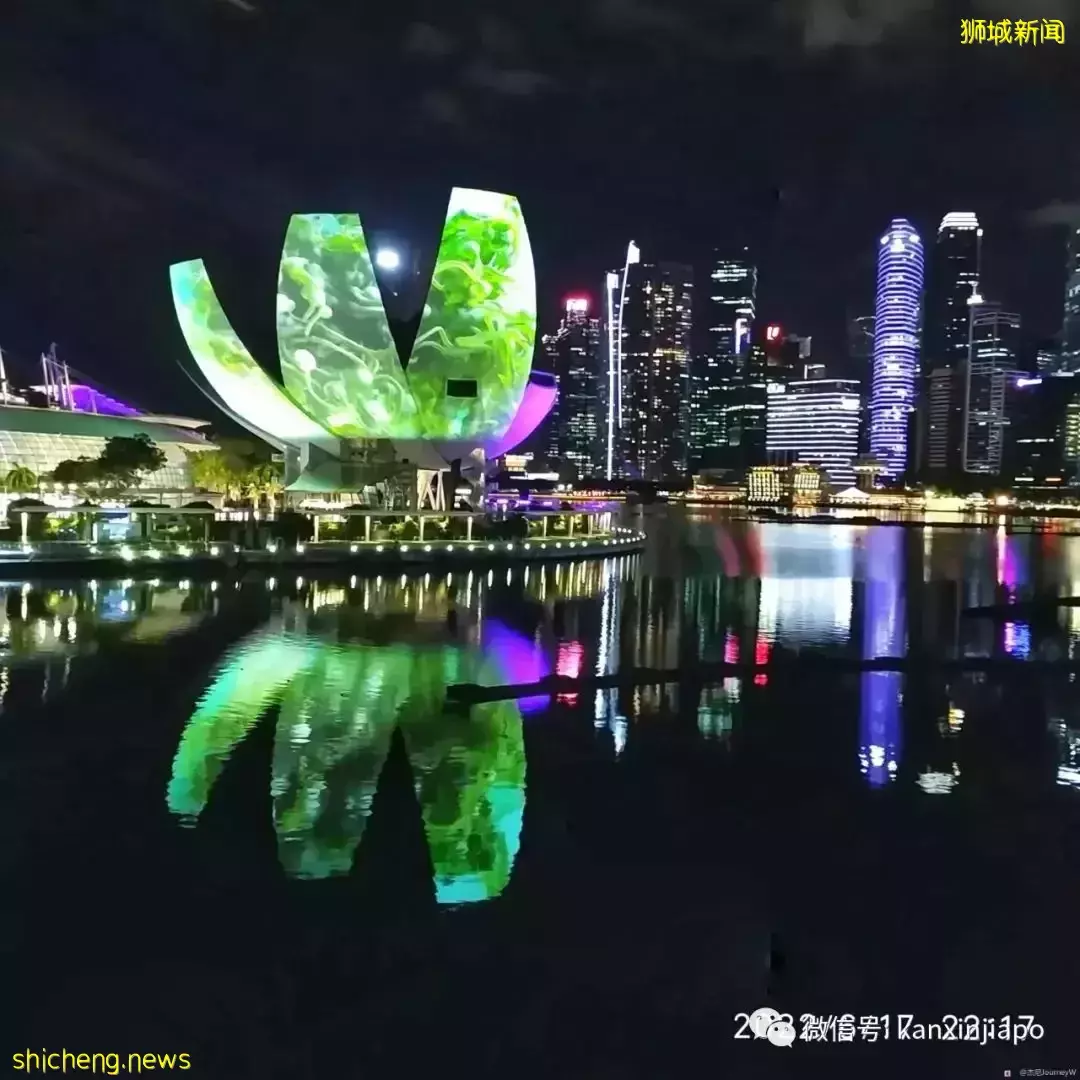 新加坡"最美燈光展"裏面還能吃喝玩樂！僅剩最後一周