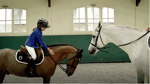 來自英國的百年精英院校——新加坡德威國際學校