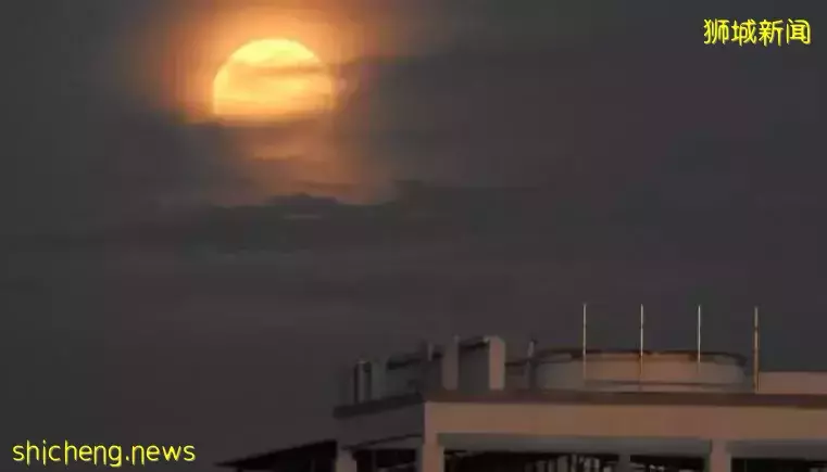 草莓月亮在新加坡刷屏,又是什麽新流量密碼