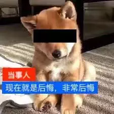 "在新加坡医院做了个小手术,错漏百出,我差点就原地去世了……"