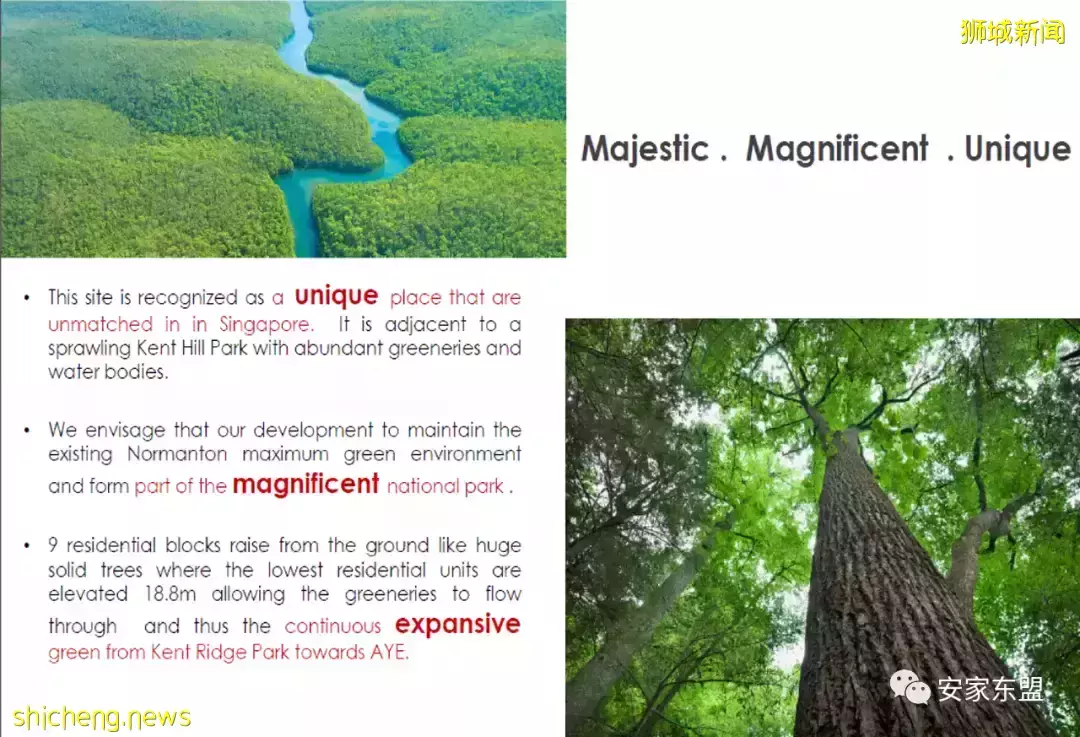 鑫悅府Normanton Park一年賣了88%，還剩224間，3月5日又將起價，手慢無