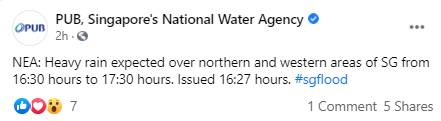 新加坡突降暴雨，全島多處淹水，大樹被連根拔起！網友：住7樓都被淹了