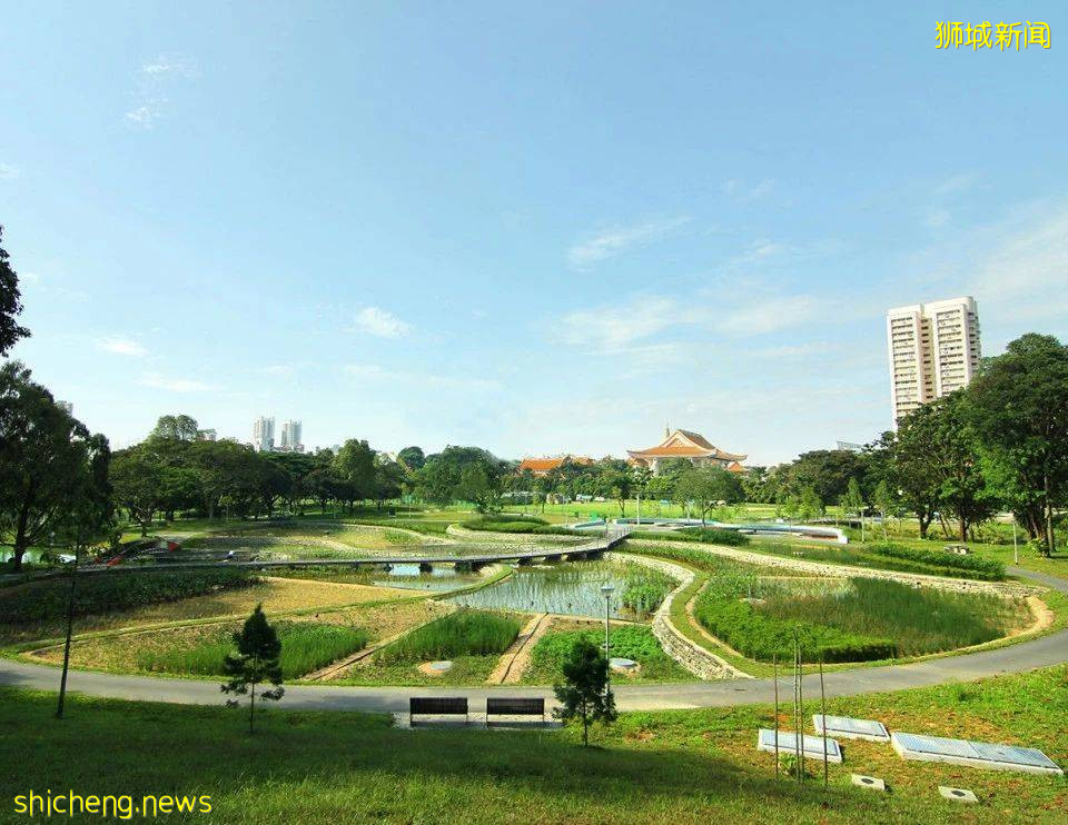 新加坡頂級設計，都在這裏