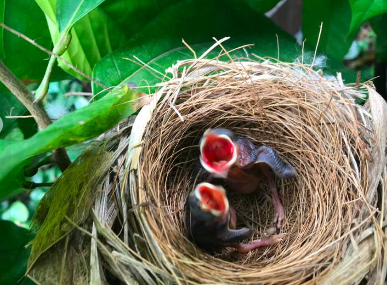 在CBD也可以擁抱綠色自然——細數新加坡那些鬧中取靜的Secret Garden