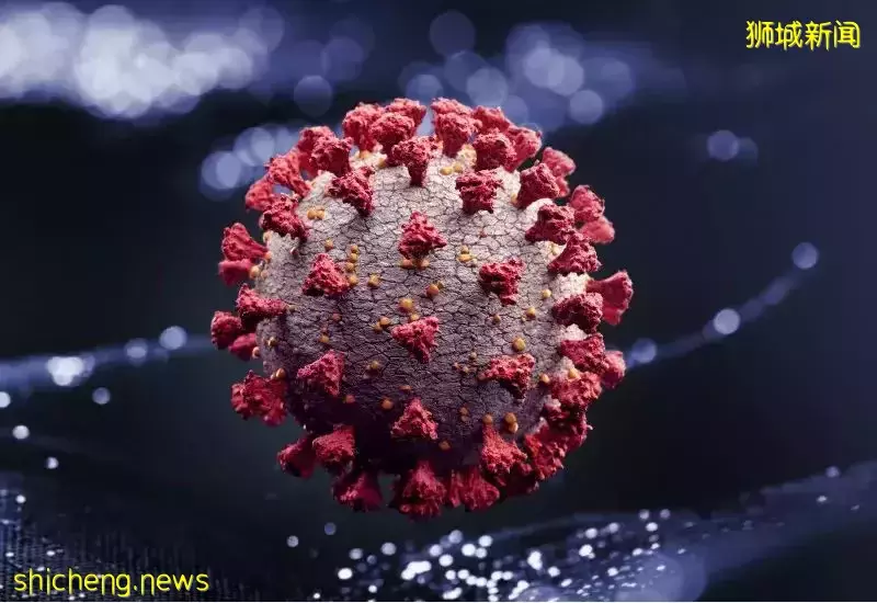 曝28天最快二次感染新冠、症狀更重!新加坡總理夫人:別以爲病毒越變越溫和