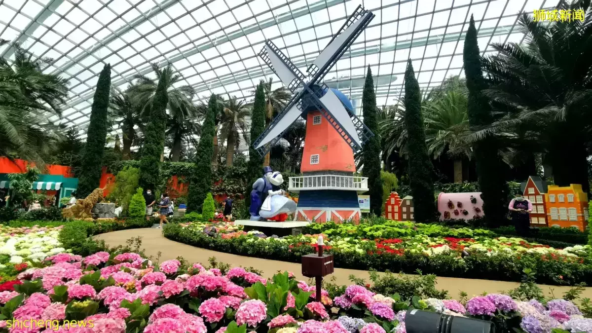 濱海灣花園首次以繡球花爲主題 展出特需人士畫作