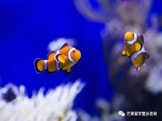 新加坡“親子娛樂”好去處盤點(1)